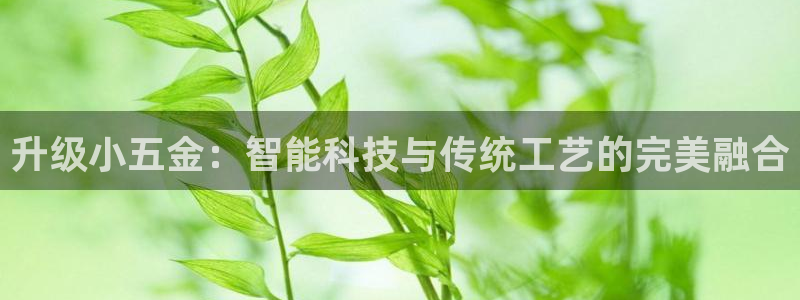 恒行2朱74OOO5