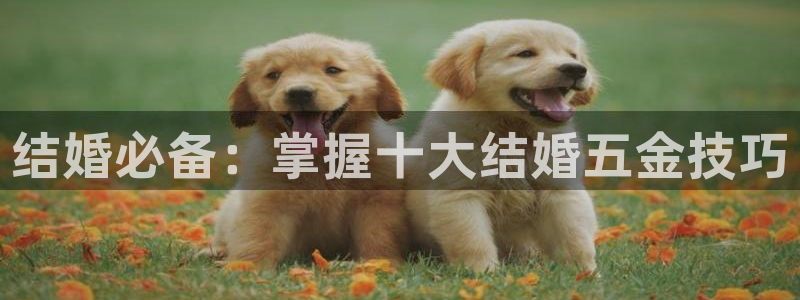 恒行娱乐毓婆74ooo5仪