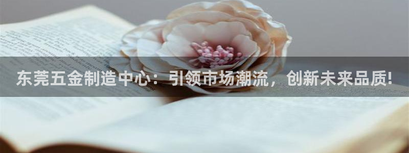 恒行娱乐吴74OOO5