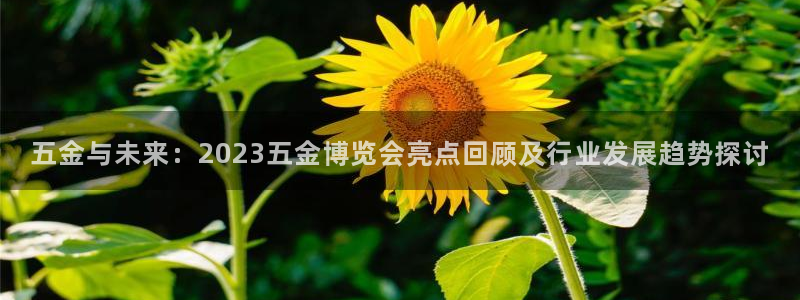 恒行娱乐寻问74 5