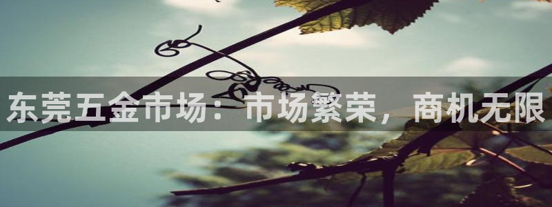 恒在5行中代表什么数字