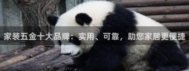 恒行主管6ll5l指定