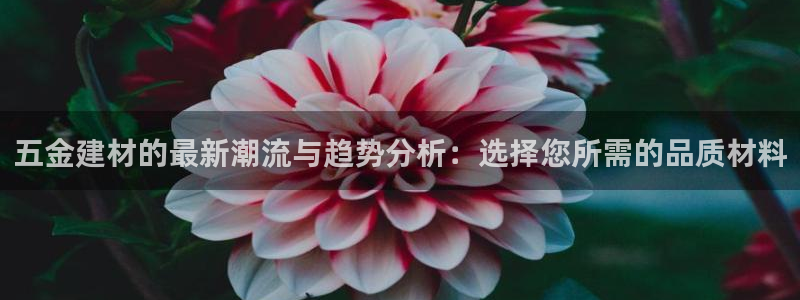 恒行娱乐吴74OOO5