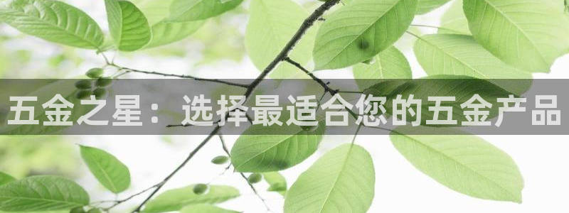 恒行招商老大诚挚 6ll5l