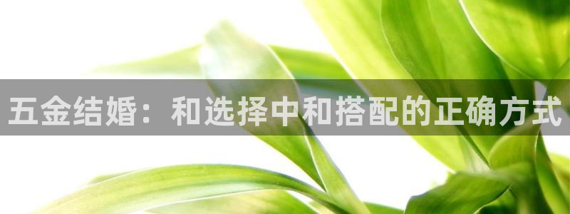 恒行娱乐毓婆74ooo5仪