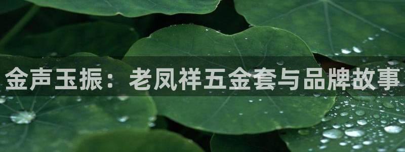 恒行2尤74OOO5