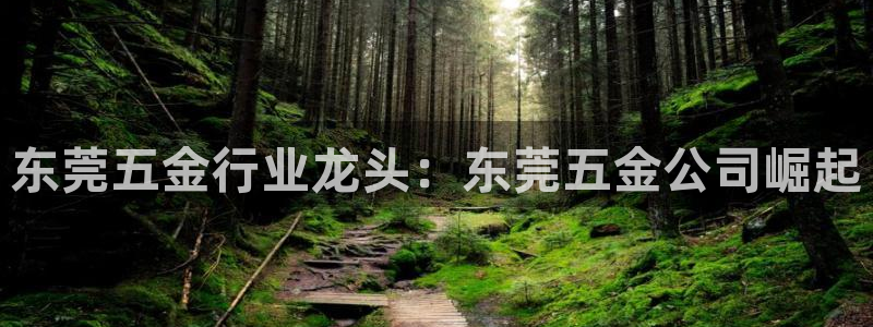 恒行2杨74OOO5