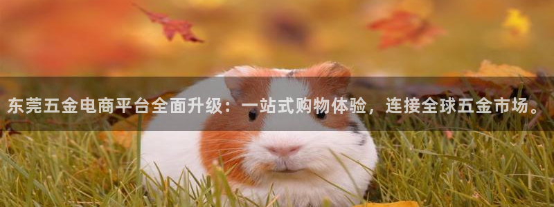 恒行娱乐吕74OOO5