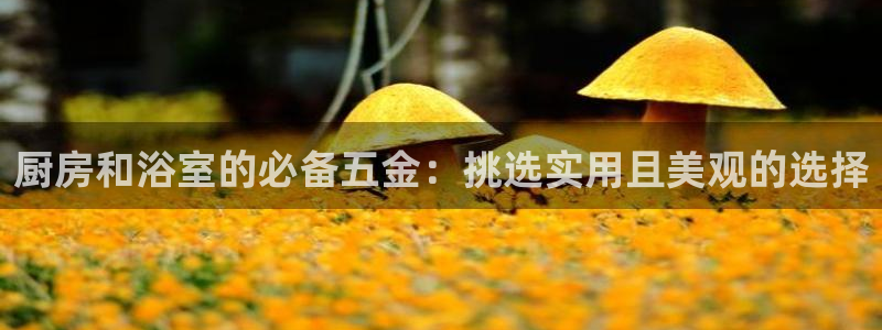 恒行娱乐掌74ooo5呀蚕