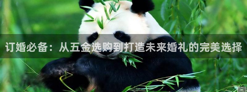 恒在5行中代表什么数字
