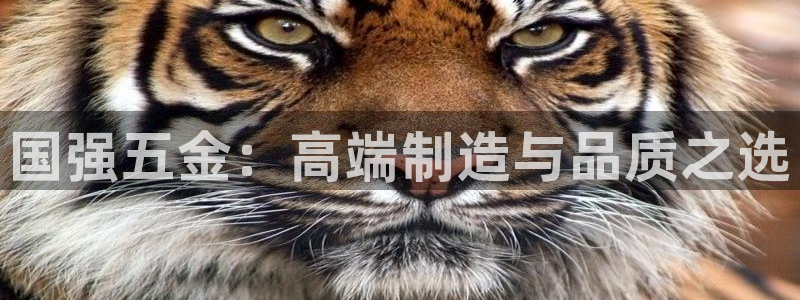 恒行娱乐5ll533主管正直