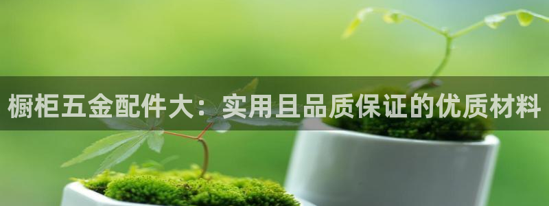 恒行主管6ll5l指定