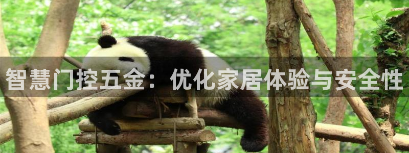 恒行娱乐吴74OOO5