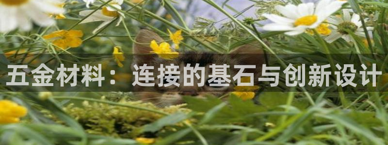 恒行娱乐周74OOO5