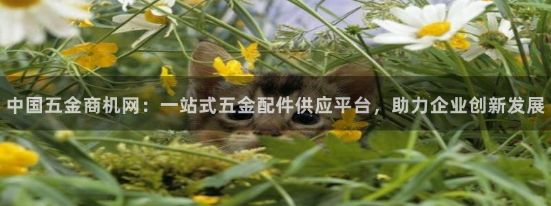 恒行娱乐老板推荐5ll533主管