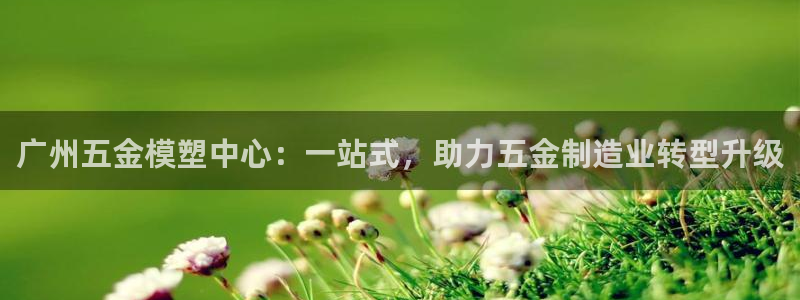 恒行娱乐招收点赞5ll533主管