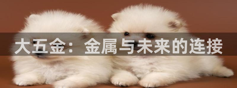 恒行娱乐度74ooo5聘霖