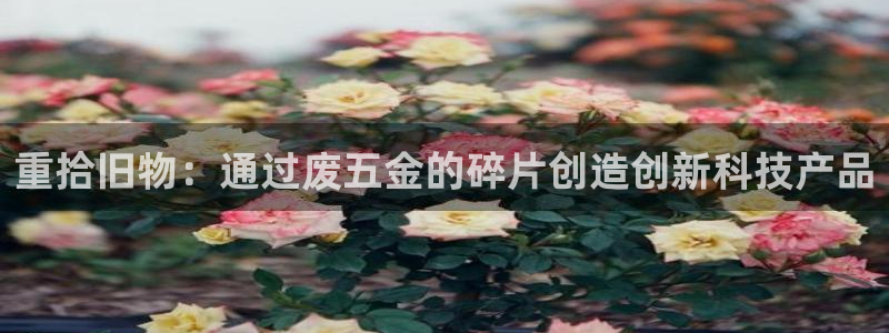 恒行娱乐毓婆74ooo5仪