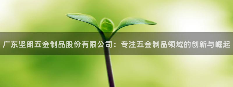 恒行娱乐卫74OOO5