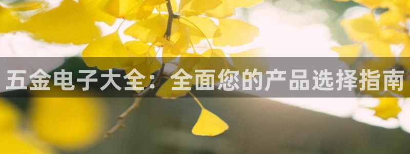 恒行娱乐陈74OOO5