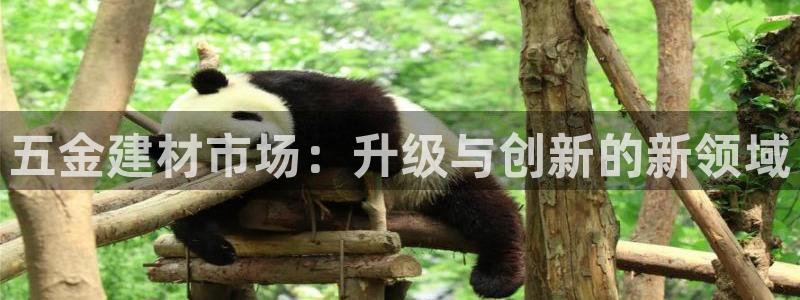 恒指5行情 如来再我心