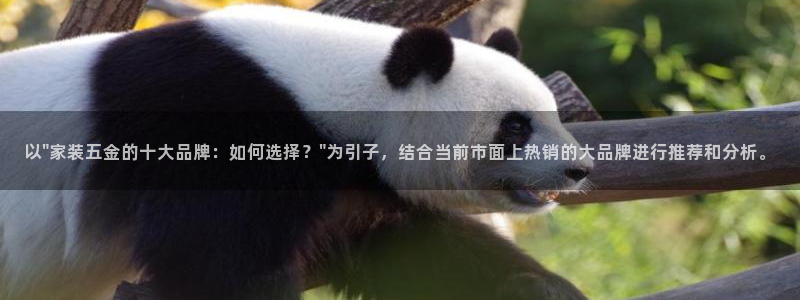 恒行开户全2O5o5O