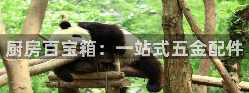 恒行2朱74OOO5