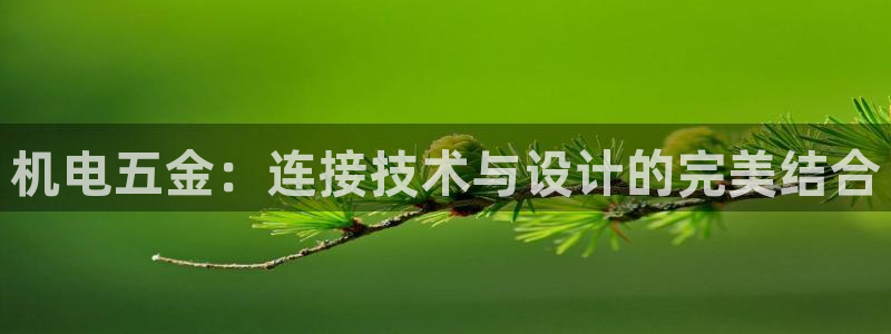 恒在5行中代表什么数字