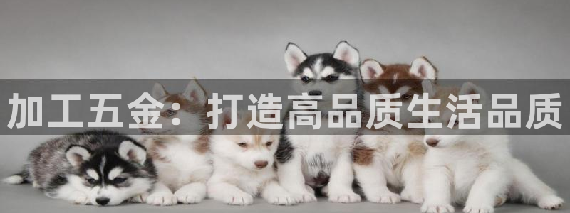 恒行5娱乐
