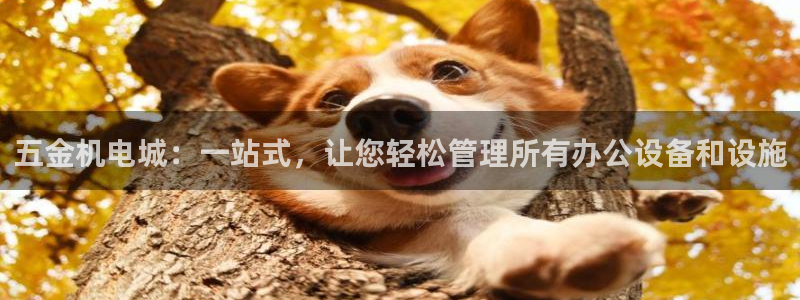 恒在5行中代表什么数字