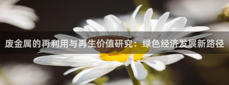 恒行娱乐吴74OOO5